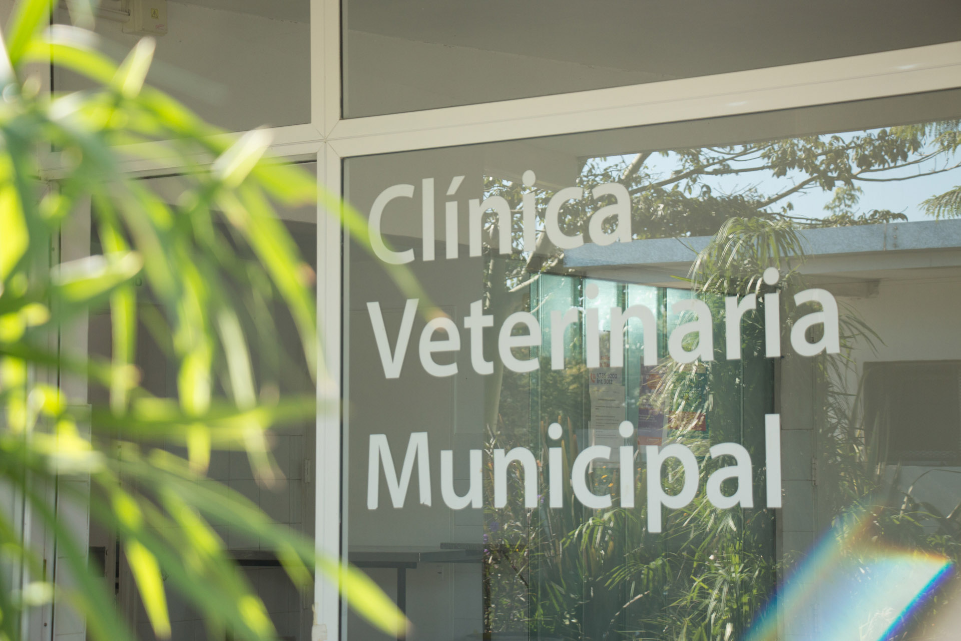 20210416_Clinica_Veterinaria_Municipal_MR_008