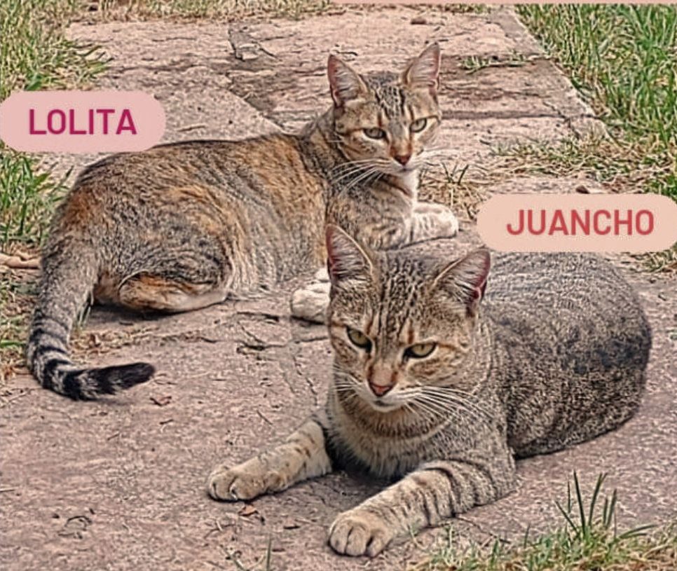Lolita y Juancho
