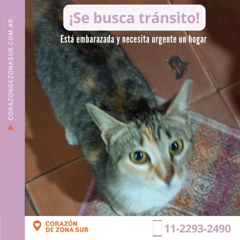 NOMBRE - 2023-09-21T095229