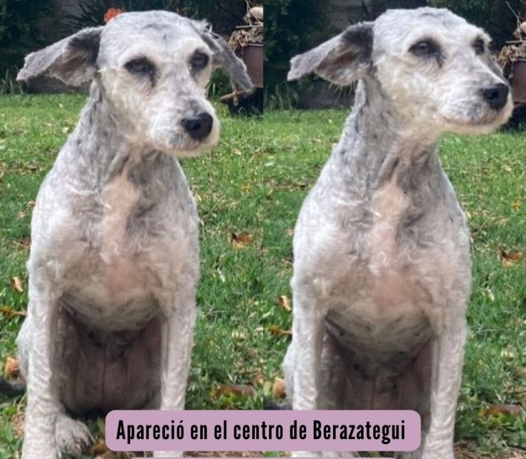 NOMBRE - 2023-09-22T091512