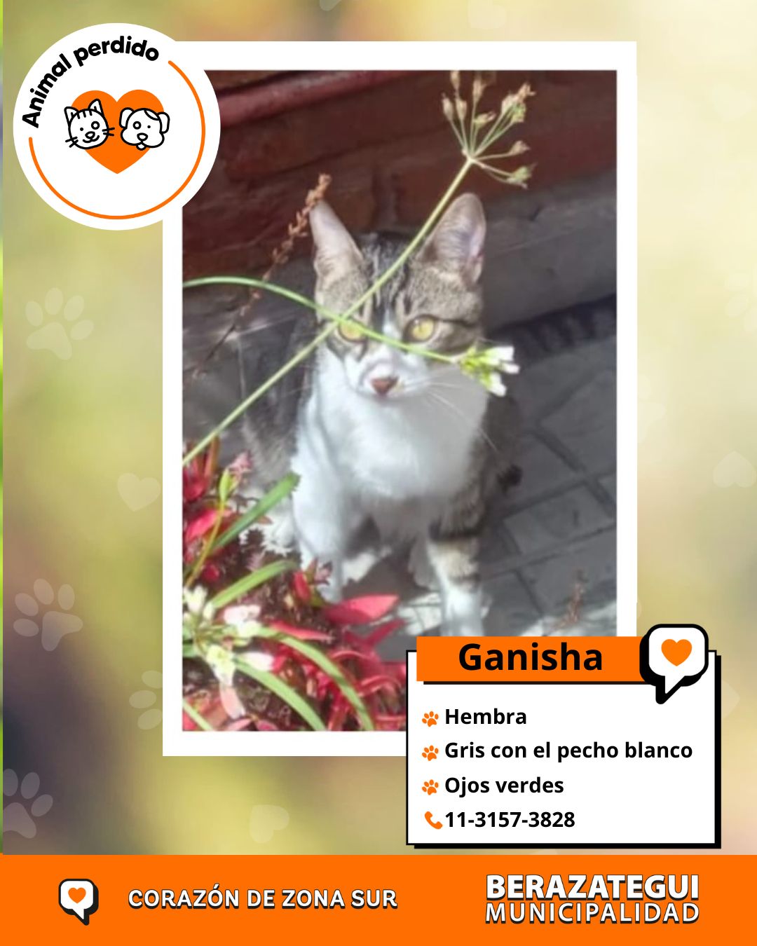 Ganisha