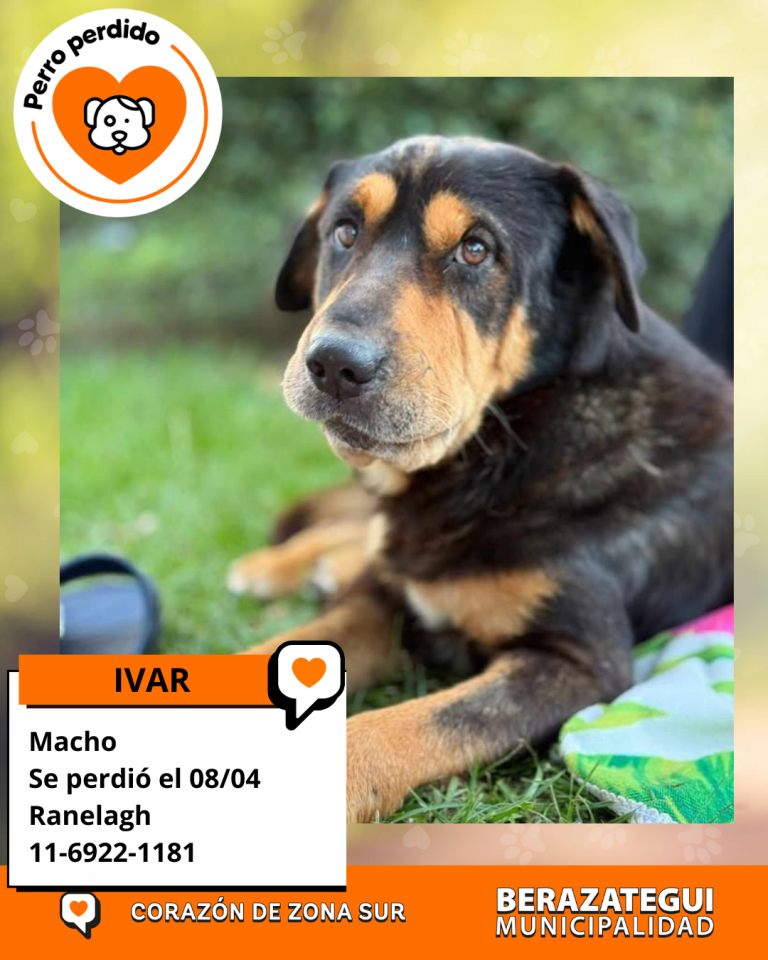 ADOPCION Y PERDIDOS (1)