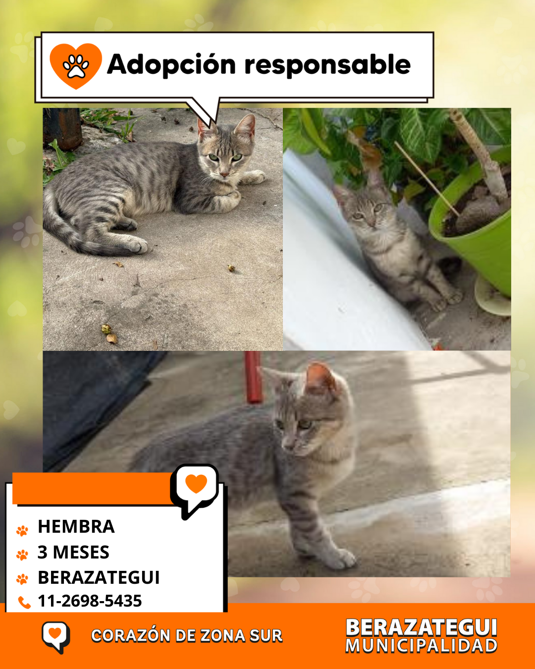Adopción responsable