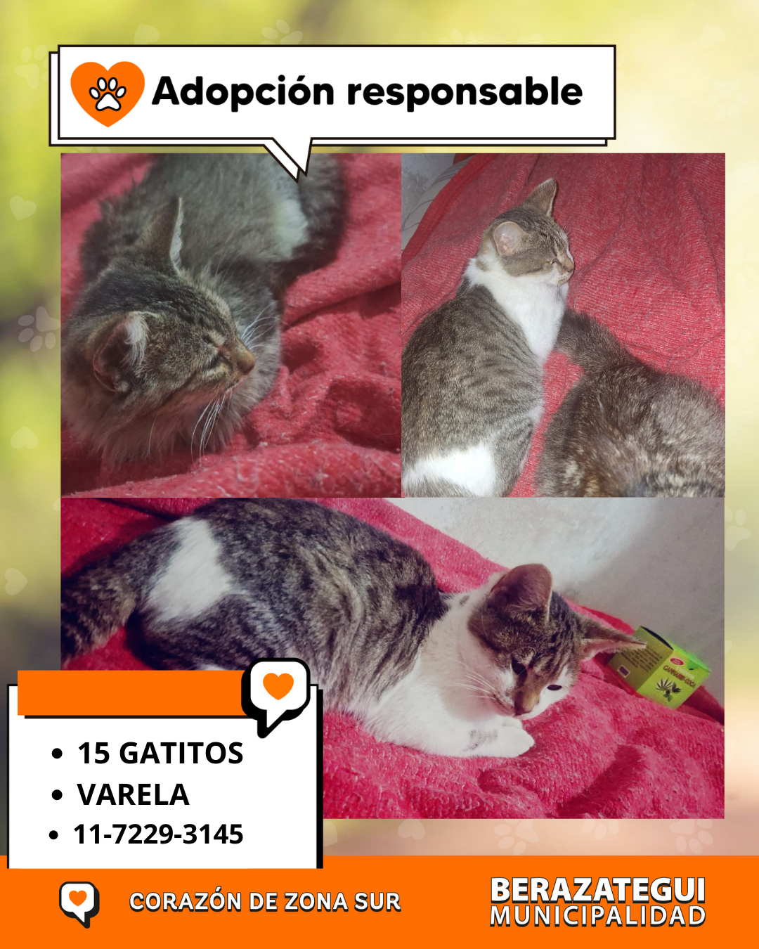 Adopción responsable