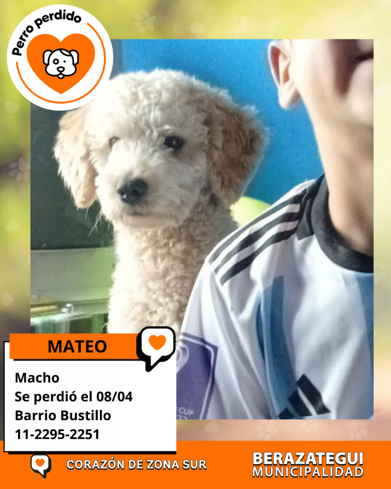 ADOPCION Y PERDIDOS