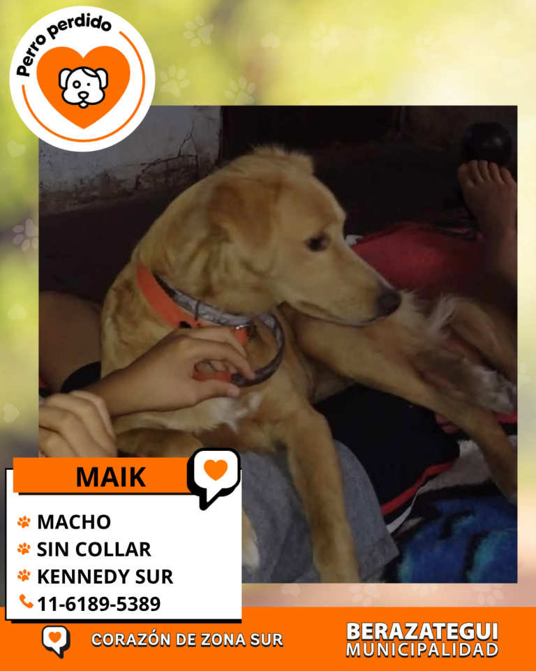 ADOPCION Y PERDIDOS (1)