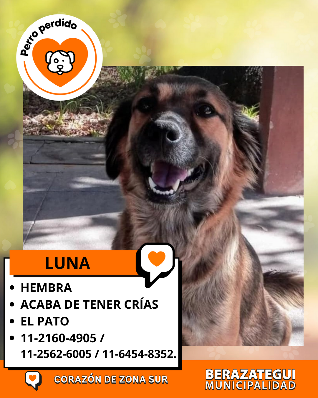 Luna