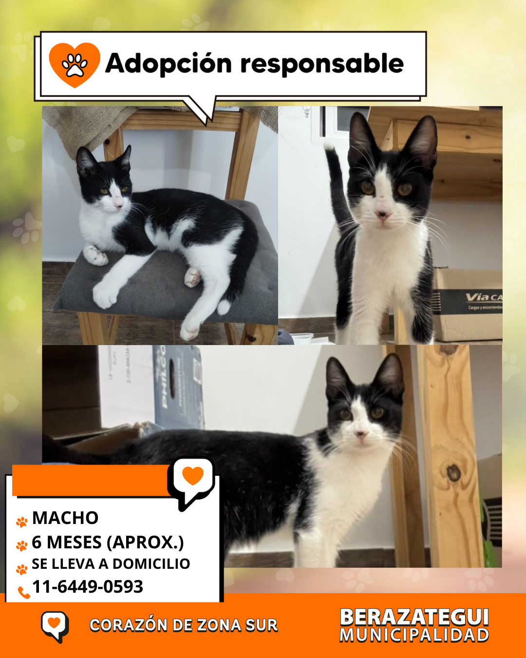 Adopción responsable