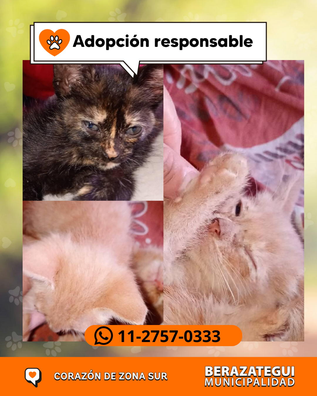 Adopción responsable