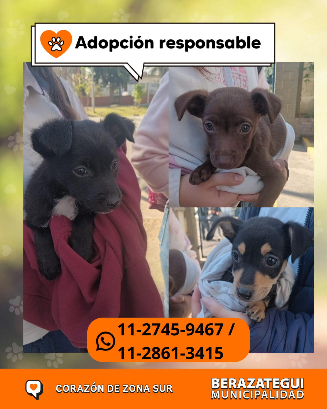 Adopción responsable