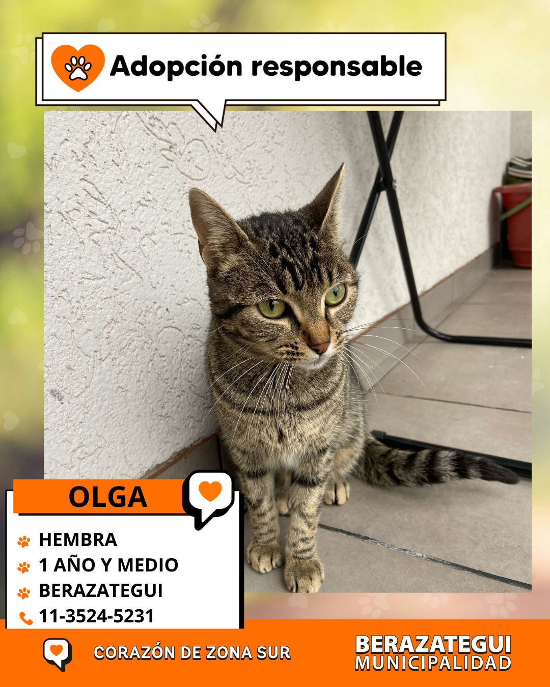 Adopción responsable