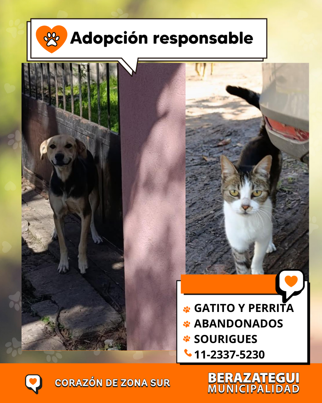 Adopción responsable
