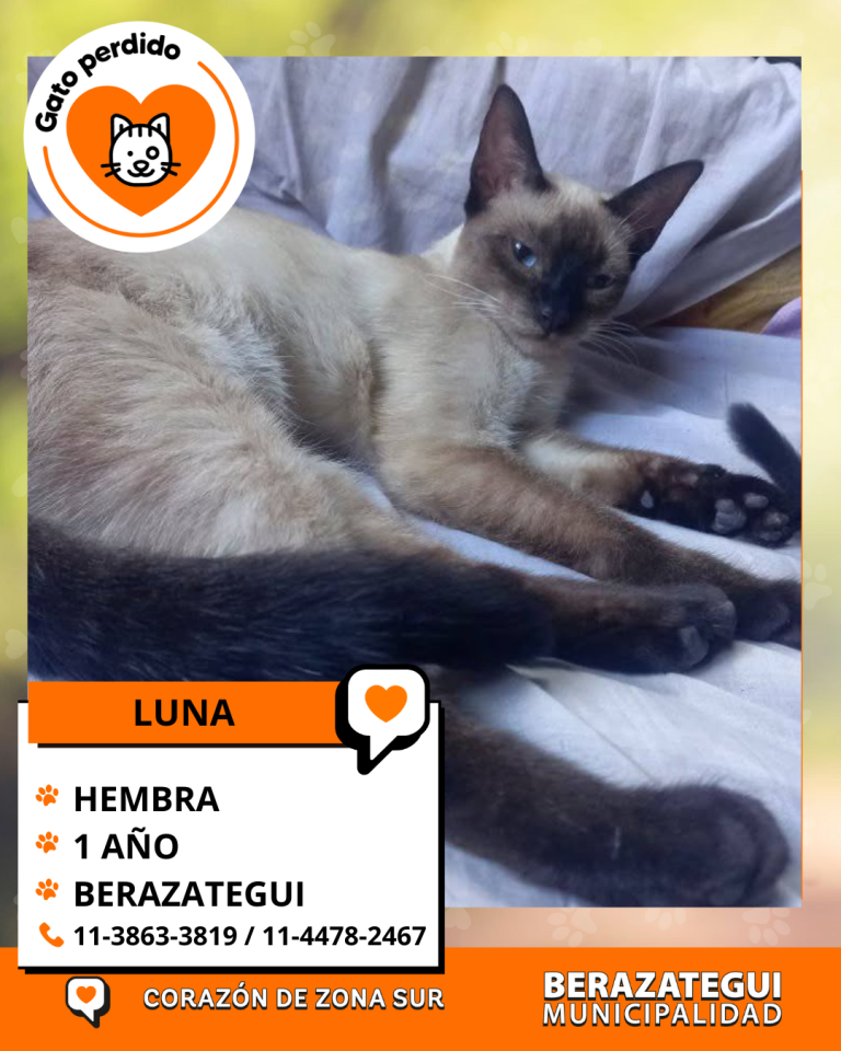 ADOPCION Y PERDIDOS (5)