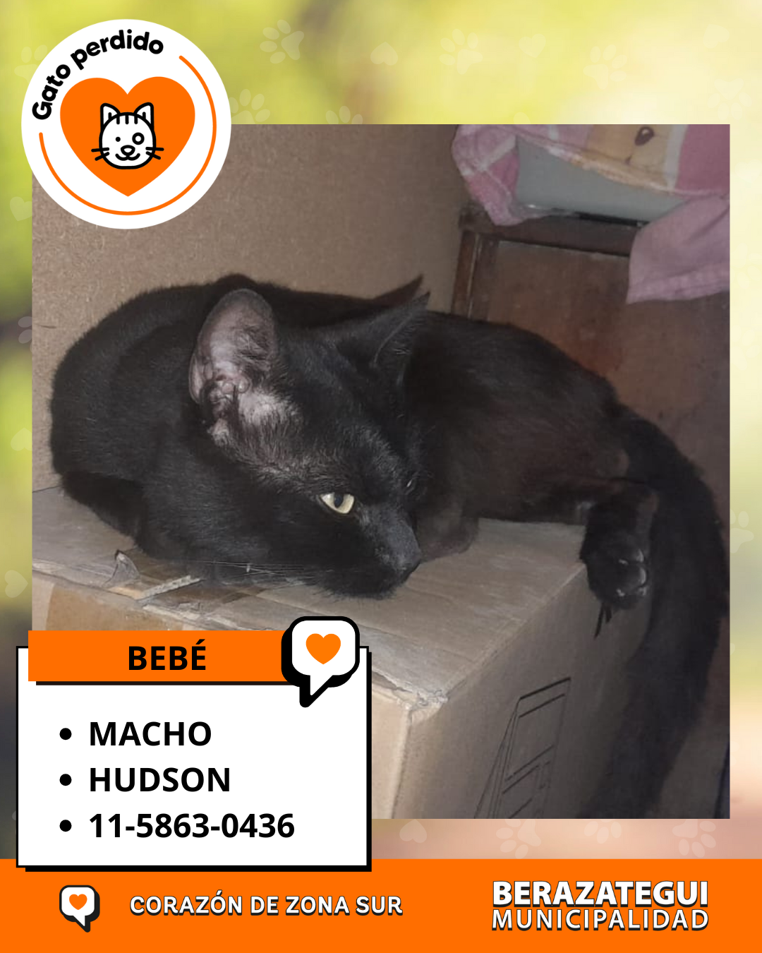 Adopción responsable