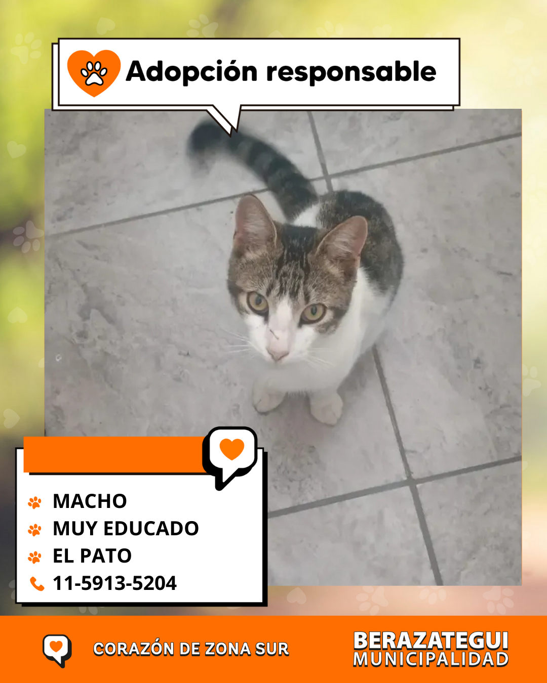 Adopción responsable