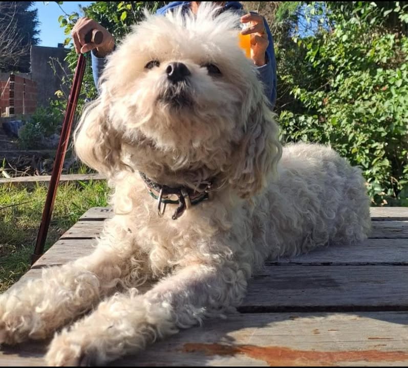 Juanita