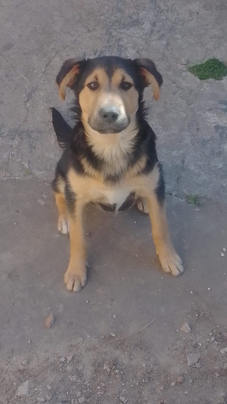 0ce1a08d-664d-4364-a8a4-a3fc7b809492