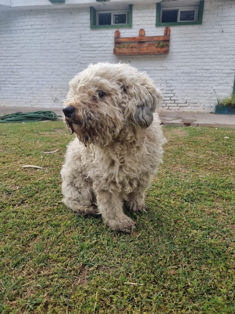 ENCONTRADA