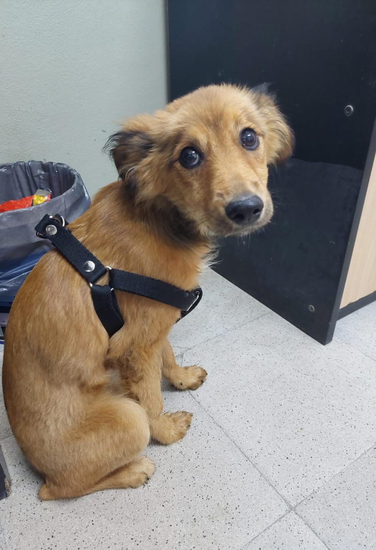 WhatsApp Image 2025-10-29 at 16.36