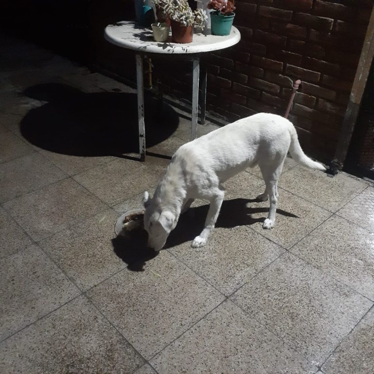 WhatsApp Image 2025-10-30 at 10.42