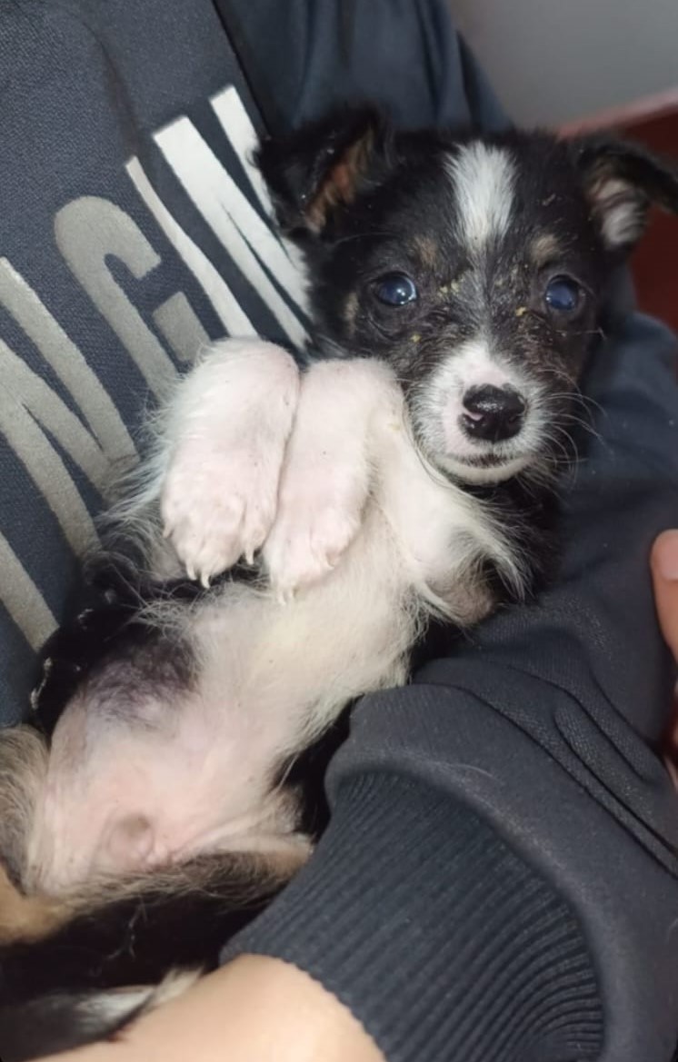 WhatsApp Image 2025-10-30 at 10.43