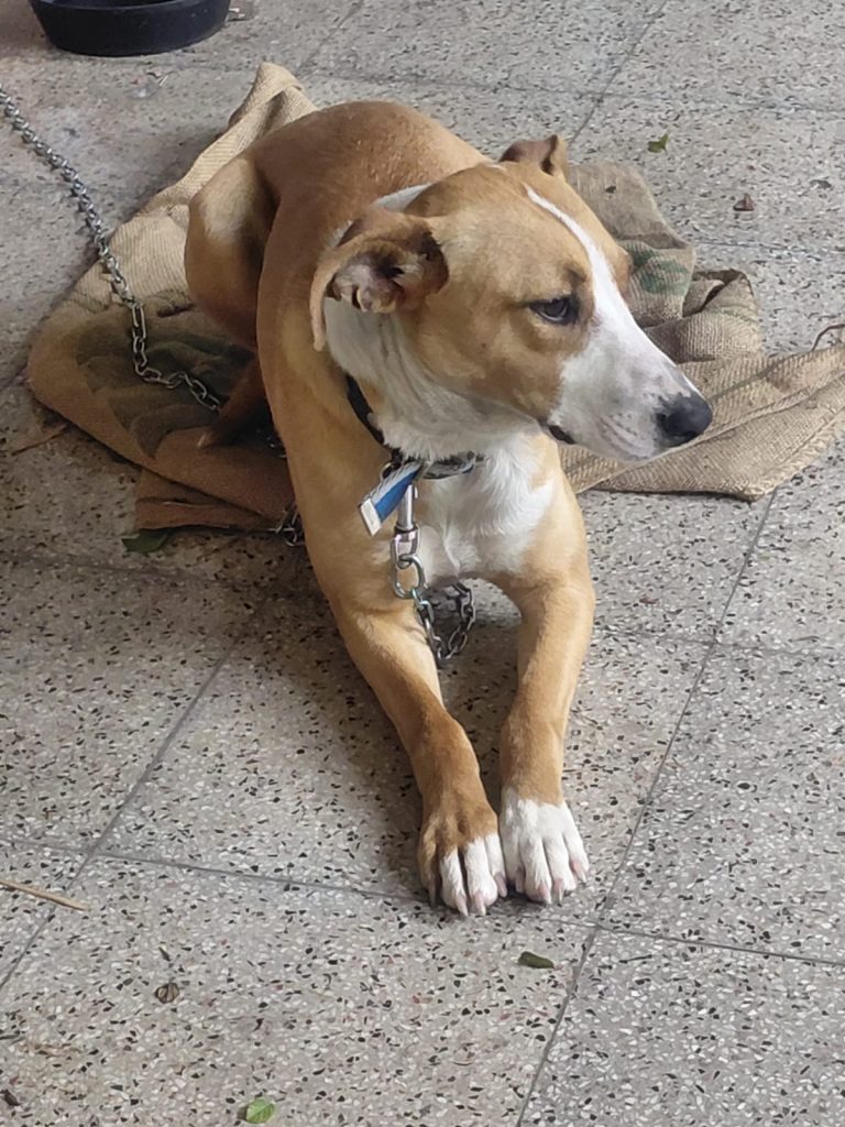 1a19f4df-cb32-48ad-aefb-55188aca8829