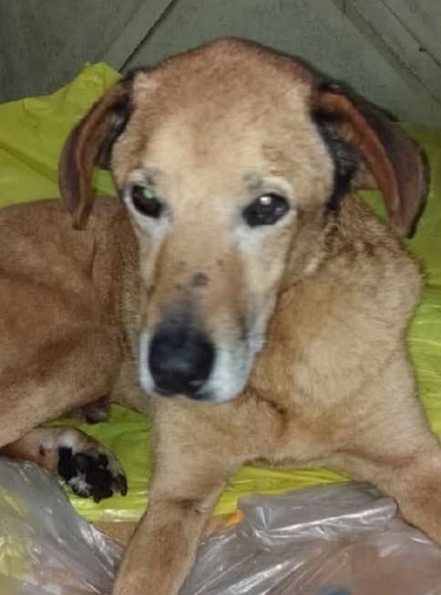 582064552_2006650953516907_6809653449846968754_n