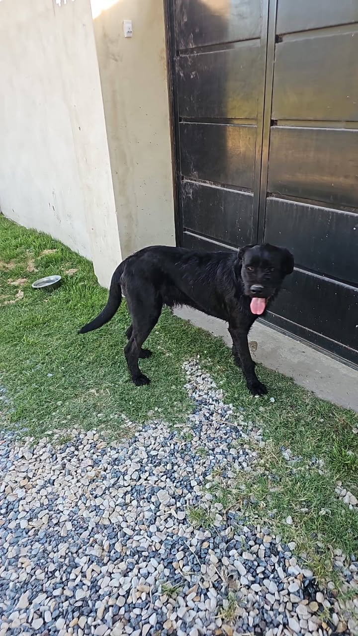 582111663_799632236418363_3049642711455313540_n