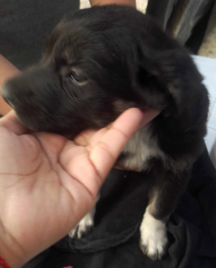 582204593_2104251550107765_2438324816277204827_n