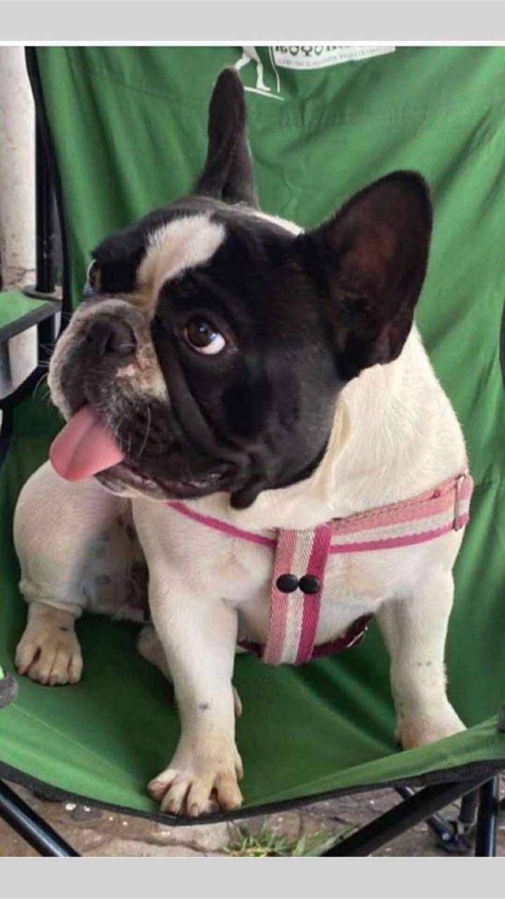 582243541_690125207502309_2160383209575240597_n