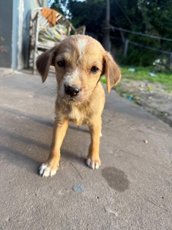 582440257_1112242447650486_8019465893136056110_n