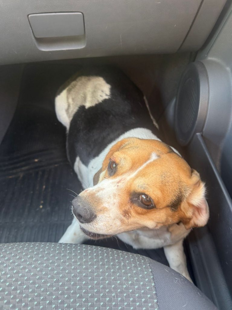 704cfd76-a008-4148-ad14-512761ed46d9