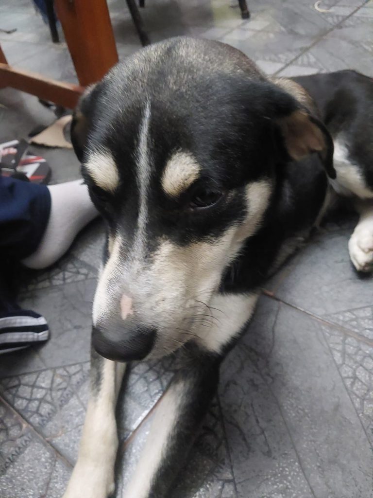 9cb92bbe-8c17-4b78-a8ac-3a4e3c15f954