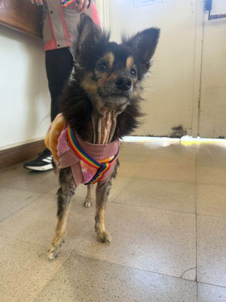 WhatsApp Image 2025-10-31 at 10.06