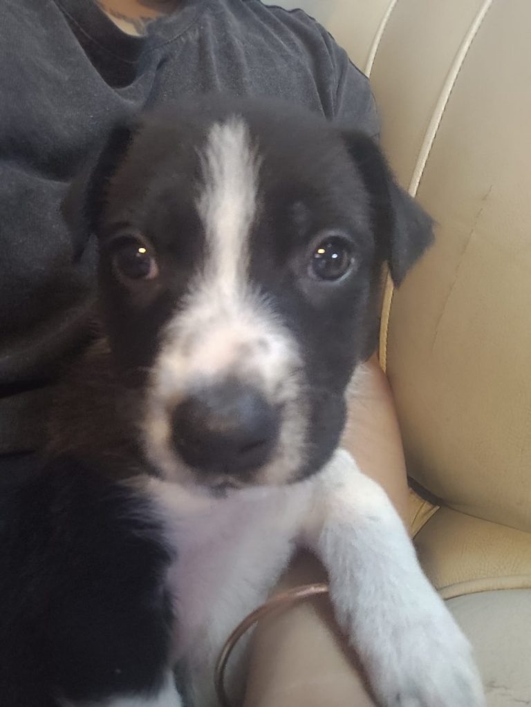 WhatsApp Image 2025-11-03 at 09.46