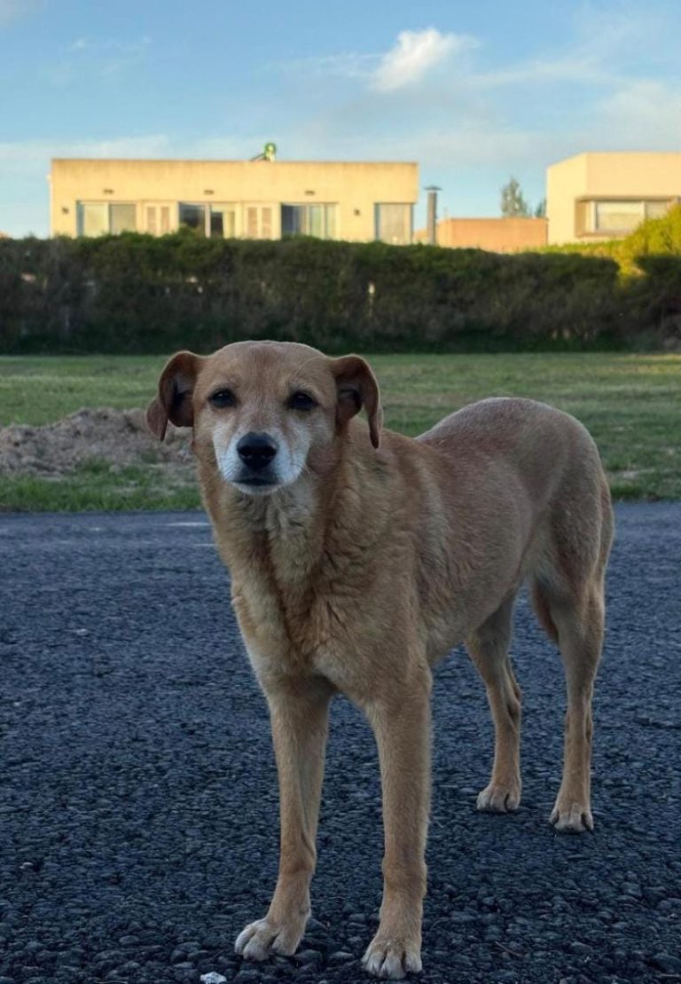 WhatsApp Image 2025-11-11 at 09.17