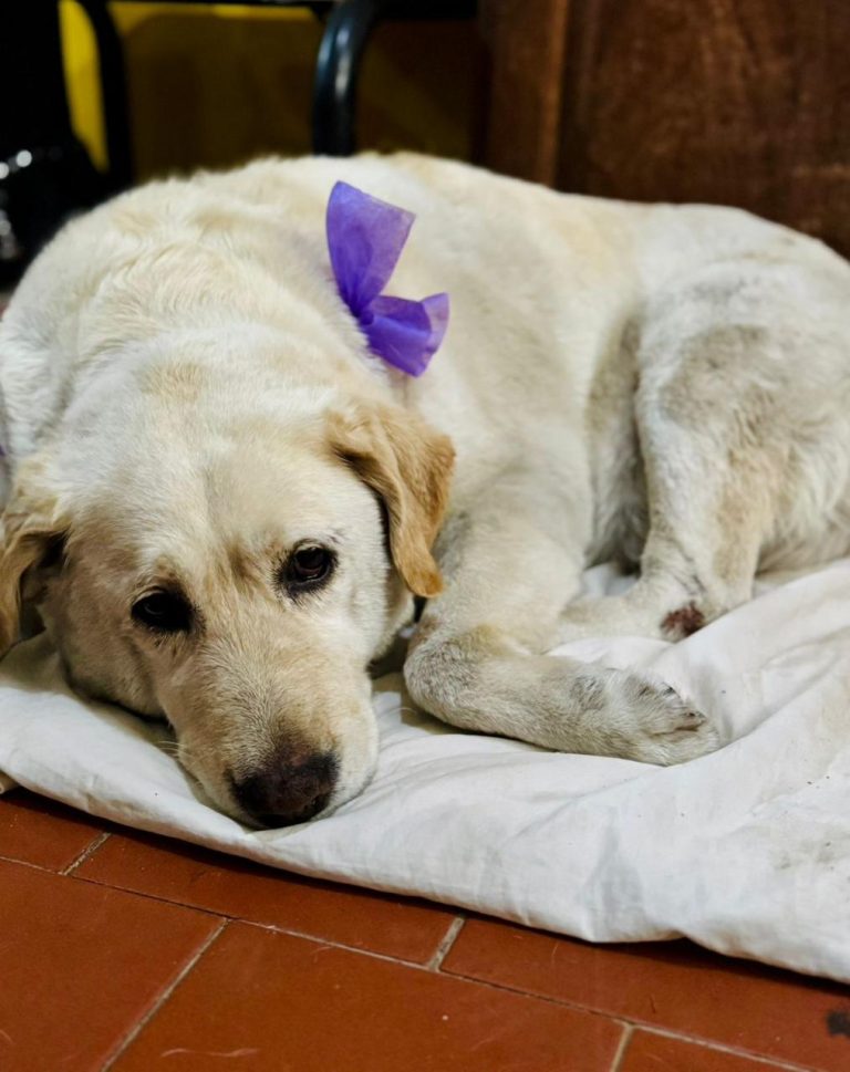 WhatsApp Image 2025-11-11 at 12.52