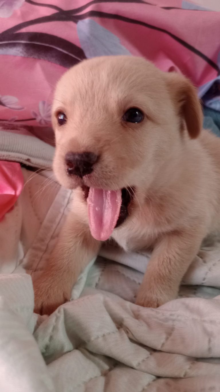 WhatsApp Image 2025-11-18 at 17.28