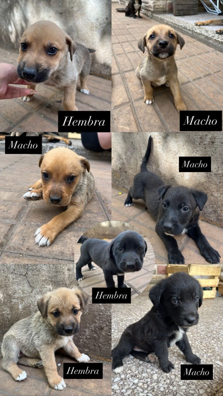 WhatsApp Image 2025-11-18 at 17.52