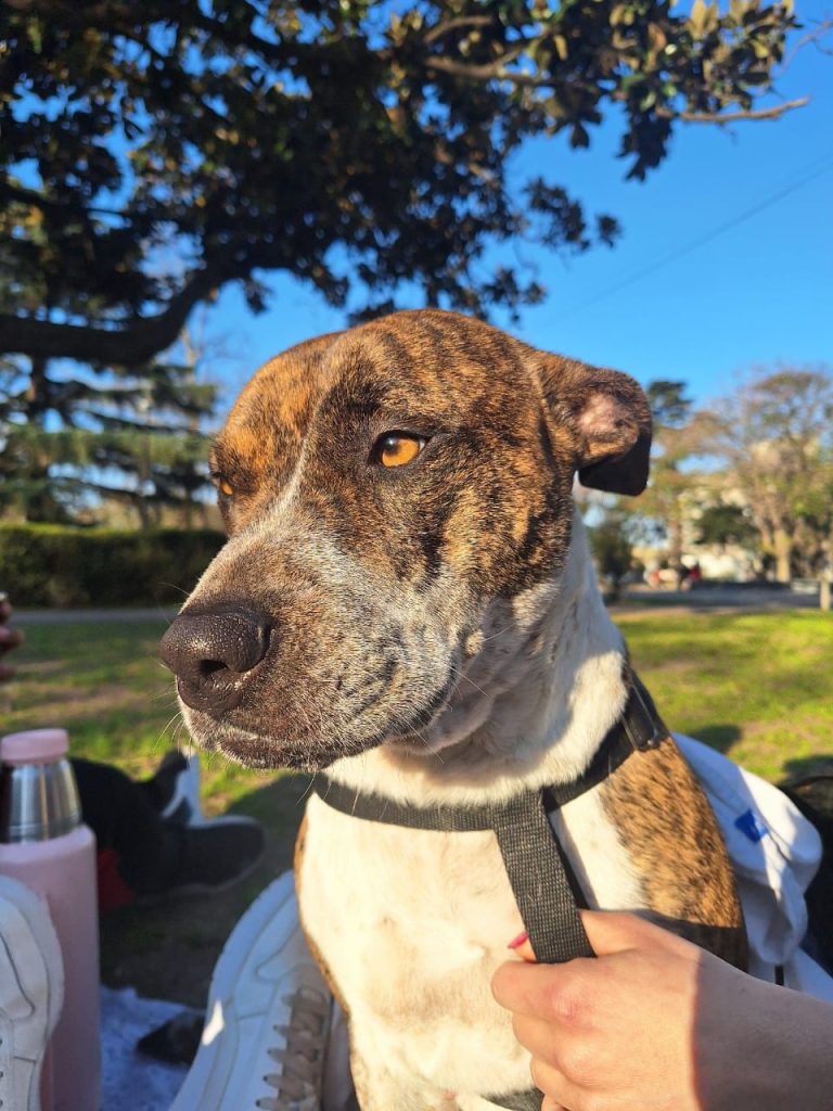 dafa552f-c40b-4cf1-b809-854dda88ce1d