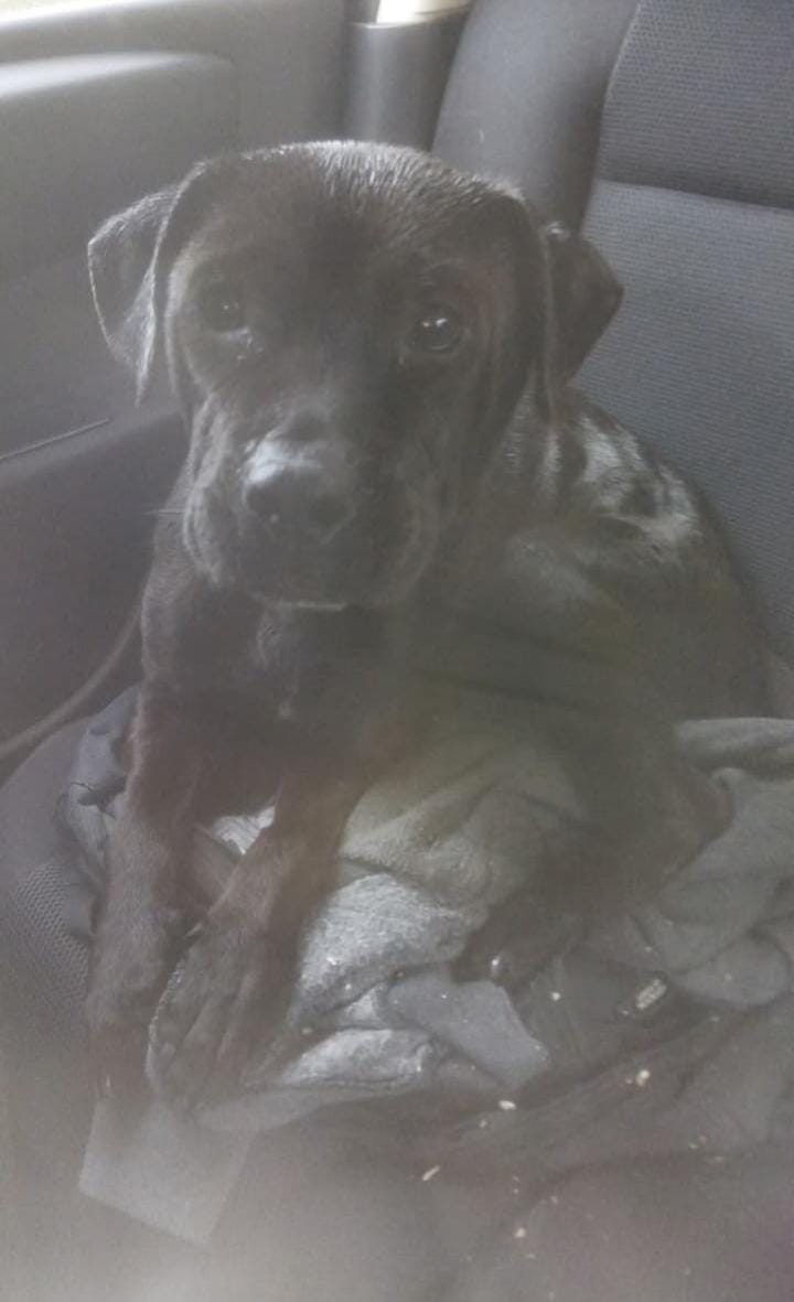 e3b195e7-f9b8-4f49-9f72-e36ea0045360