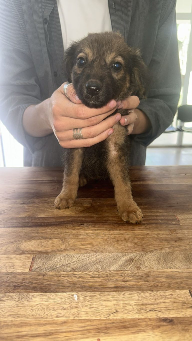 13088abd-c62b-49e3-a07c-b527b934299c