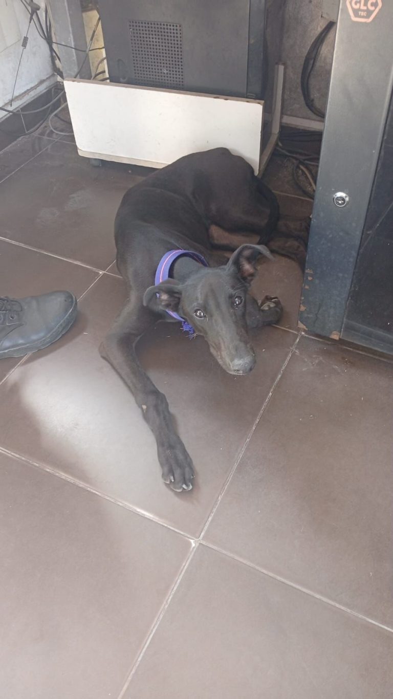 40902e05-14cd-45d1-8c3c-b8761cc06417