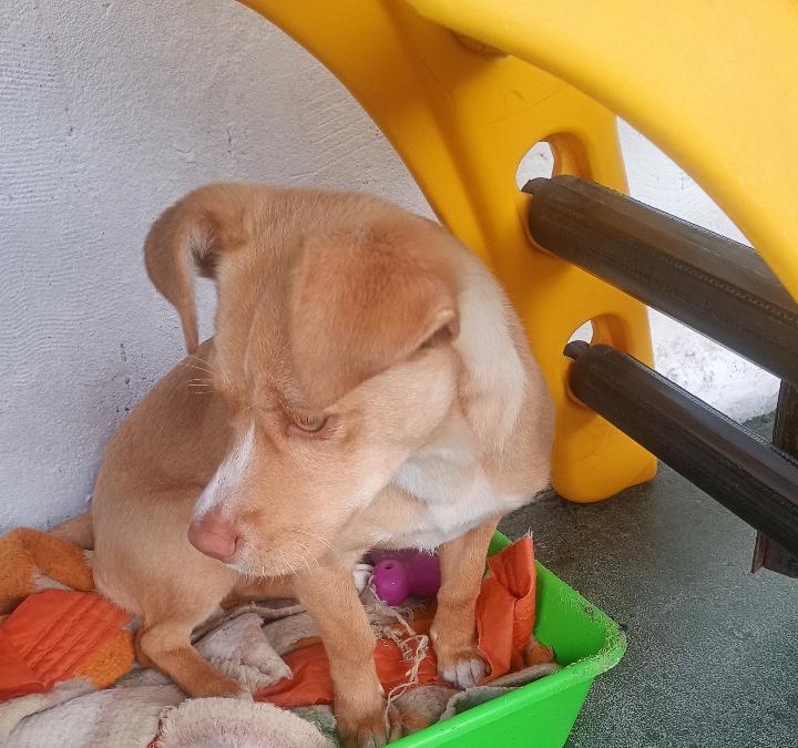 590140442_1482389813060052_3796107794352890486_n