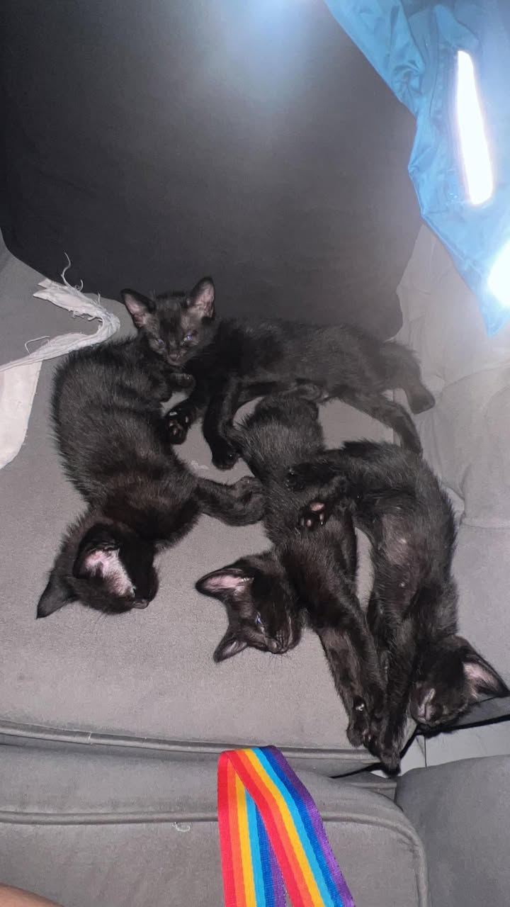 590749383_1472861677107975_8311081452342372584_n