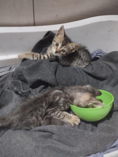 591401009_25818128927770551_7390997749573080739_n