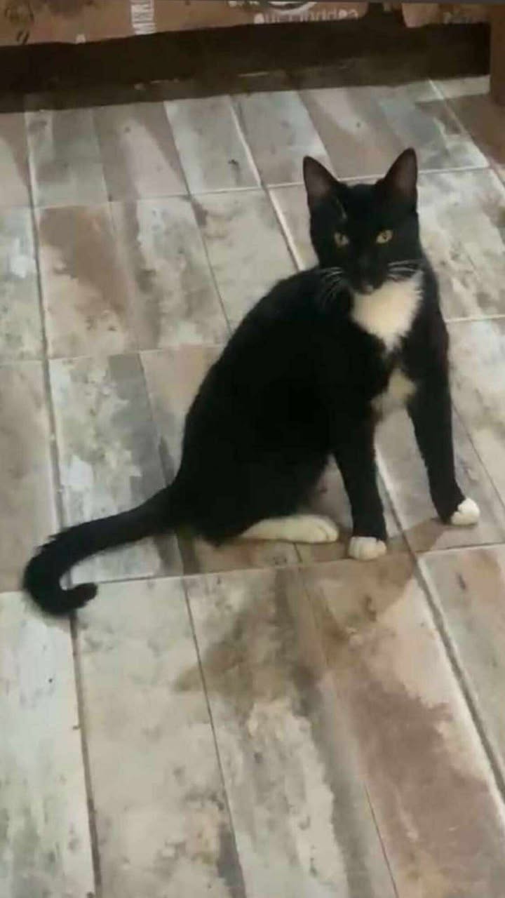 591632243_1384404520066629_152328975601329532_n