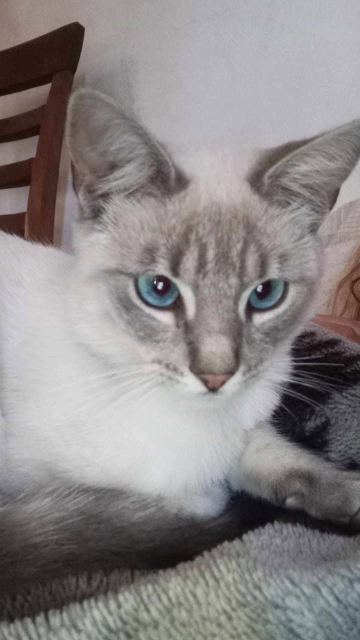 592107631_1370692031133242_5628161693366843797_n