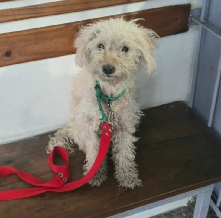 597299407_1214628274148368_3529718790113693165_n