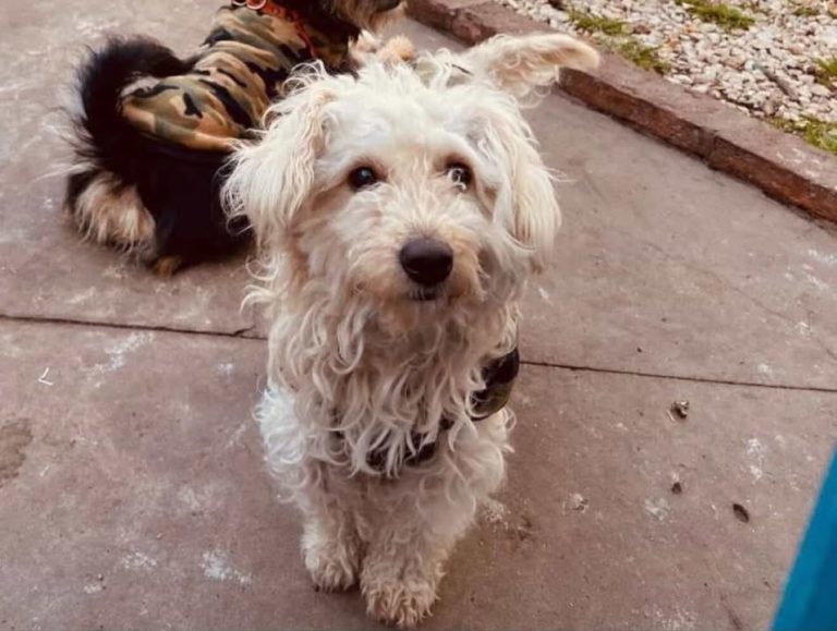 597440281_1495926648178330_3654408989698972419_n